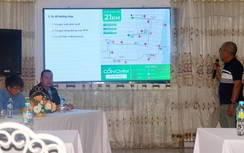 Bình Định: Gần 2.000 vận động viên tham gia giải chạy “Cồn Chim Half Marathon 2025”