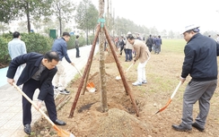 Ngày hội trồng cây năm 2025 - Tầm nhìn xanh