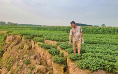 Bắc Giang: Xử phạt Công ty khoáng sản Hồng Phát hơn 500 triệu đồng