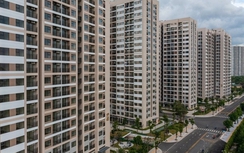 Đề xuất xây dựng chính sách vượt trội với chuyên gia cao cấp