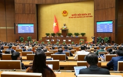 Quốc hội thông qua Nghị quyết về các cơ chế, chính sách đặc thù cho dự án điện hạt nhân Ninh Thuận