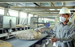 Thủ tướng chỉ đạo các nhiệm vụ, giải pháp trọng tâm, đột phá thúc đẩy tăng trưởng kinh tế, bảo đảm mục tiêu đạt 8% trở lên