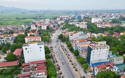 Hà Nội: Phê duyệt phương án đầu tư xây dựng tuyến đường từ đê Tiên Tân đến trường Mầm non Đan Phượng