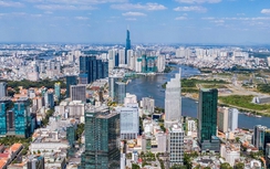 Chức năng, nhiệm vụ, quyền hạn và cơ cấu tổ chức của Cục Phát triển đô thị