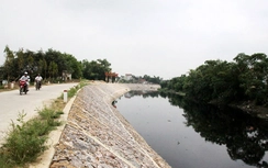 Hà Nội: Giao Sở Nông nghiệp và Môi trường lên kế hoạch cải tạo hệ thống đê điều
