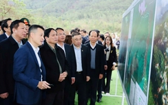 Thủ tướng Chính phủ Phạm Minh Chính khảo sát thực tế tại Dự án Khu du lịch sinh thái nghỉ dưỡng Tam Đảo 2