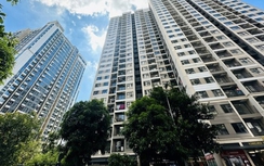 Thuê nhà là một giải pháp phù hợp khi giá nhà tăng cao