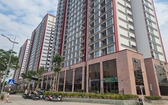 Các hành vi bị cấm trong quản lý, sử dụng nhà chung cư