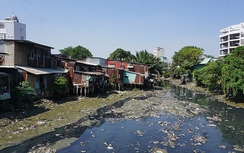Thành phố Hồ Chí Minh lên phương án chống sạt lở bờ sông ở huyện Nhà Bè và thành phố Thủ Đức