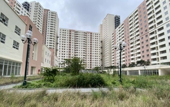 Hộ gia đình có nhiều thế hệ, bố trí tái định cư thế nào?