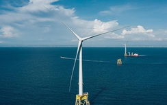Đơn vị chủ lực của Petrovietnam tham gia vào chuỗi cung ứng của dự án điện gió ngoài khơi tại Đài Loan (Trung Quốc)