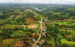 Đắk Nông: Kinh tế - xã hội quý I/2025 có nhiều chuyển biến tích cực