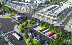 TELIN Group: Phát triển Cụm công nghiệp Kim Bài theo hướng xanh, bền vững