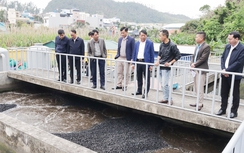 Hải Phòng: Xử lý nước thải sinh hoạt tại thị trấn Cát Bà mới đạt khoảng 50%