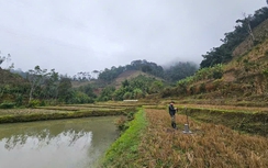 Bắc Kạn: Đẩy nhanh giải phóng mặt bằng cụm công trình thủy lợi trọng điểm