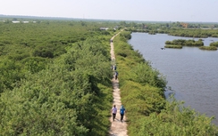 Nam Định: Triển khai công tác phòng cháy, chữa cháy rừng trên địa bàn