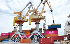 Tổng trị giá xuất nhập khẩu hàng hóa trong tháng 3 đạt 75,39 tỷ USD