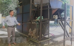 Thanh Hóa: Lò đốt rác tiền tỷ hoạt động 3 ngày, bỏ hoang 3 năm