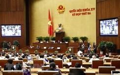 Không thu hẹp đối tượng xử phạt vi phạm hành chính về sở hữu trí tuệ