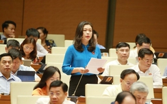 Tránh tình trạng lạm dụng thu lợi trong bản quyền sở hữu trí tuệ