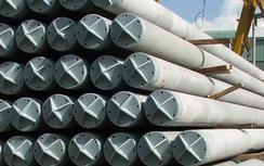 Thành lập Hội đồng nghiệm thu dự thảo soát xét tiêu chuẩn “TCVN 7888:2008, Cọc bê tông ly tâm ứng lực trước”