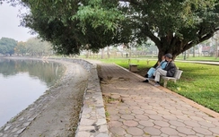 Xây mới và phục hồi có hiệu quả không gian xanh đô thị tại Thủ đô