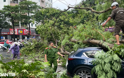 Mưa dông lớn quật đổ cây cổ thụ, Hà Nội cảnh báo nhiều điểm ngập úng