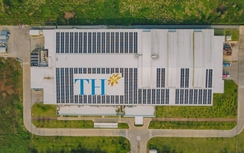 Nguồn “năng lượng xanh” từ những mái trang trại bò sữa của TH true MILK