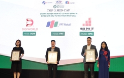 Hải Phát: Top 3 Doanh nghiệp niêm yết có hoạt động IR được nhà đầu tư yêu thích nhất năm 2022