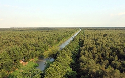 Hậu Giang kêu gọi đầu tư Khu du lịch Lung Ngọc Hoàng