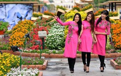 Đến Đà Nẵng dịp Tết Nguyên đán, đừng bỏ lỡ những sự kiện hot nhất này