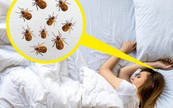 6 cách vệ sinh sai lầm cần dừng ngay lập tức