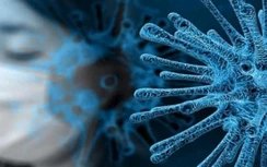 Mức độ nguy hiểm của những chủng virus Corona mới