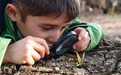 4 biểu hiện ngốc nghếch của trẻ nhưng tiềm ẩn IQ cao, cha mẹ đừng “bóp nghẹt”