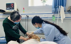 Chàng trai trẻ tử vong lúc nửa đêm, bác sĩ tức giận vì nguyên nhân liên quan tới người vợ