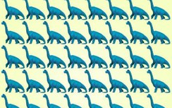 10 câu đố thách thức sự chú ý của bạn