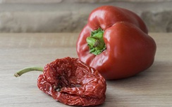 Dọn tủ đón Tết: Thực phẩm có những dấu hiệu này cần bỏ ngay lập tức