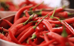 Gan cực quan trọng, hãy tránh xa 6 thực phẩm này