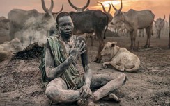 Bộ tộc dùng nước tiểu và phân bò nhưng quyết không ăn thịt chúng