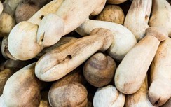 10 bảo tàng kỳ lạ nhất thế giới