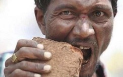 Bất chấp nguy hiểm, loại đá "mềm" này vẫn được sử dụng như thức ăn