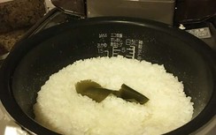 Ra biển vớt được “thần dược” này, người Nhật ăn mỗi ngày giúp khỏe mạnh, trường thọ