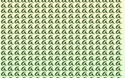 Đố bạn trong vòng 5 giây có thể tìm thấy chữ cái khác biệt