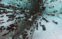 Khám phá những điểm đến yên bình nhất Nhật Bản