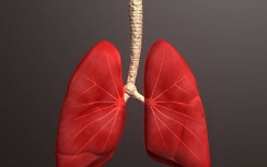 4 thói quen sau khi thức dậy cực gây hại cho phổi nên từ bỏ ngay