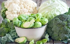 Từ Nhật Bản đến Hy Lạp, người trường thọ ăn 7 loại thực phẩm này