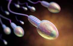 7 thói quen giết chết tinh trùng, quý ông phải bỏ ngay nếu muốn có tin vui