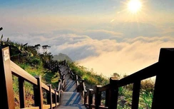 10 địa điểm đẹp lịm tim không thể bỏ qua khi đến xứ sở trà sữa