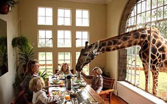 Những khách sạn kỳ quặc nhất thế giới