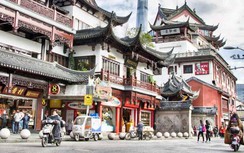 Thượng Hải chưa bao giờ hết quyến rũ du khách bởi những trải nghiệm hấp dẫn này